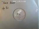 DER DRITTE RAUM   Hale Bopp   12