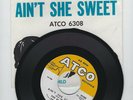 The Beatles Ain't She Sweet and Nobody's Child 45 RPM Record
