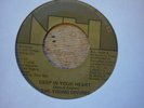 northern soul young divines deep in your heart london intn usa 45 orig
