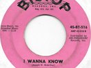 THE DYNAMICS I Wanna Know on Big Top northern soul 45 HEAR