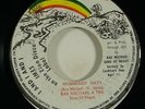 Ras Michael & The Sons Of Negus 