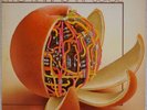 RYO KAWASAKI: Juice US ’76 RCA APL1-1855 Fusion Jazz Funk OG Promo Vinyl LP