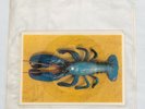 The B-52's – Rock Lobster RARE Vinyl 7
