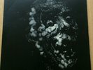 Nightmares In Wax (Pete Burns,DOA) Black Leather - Shangri-La  KY9 1985 UK