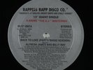 ALFREDA JAMES & BILLY RAY Back To Love RAPPERS RAP DISCO CO. 12