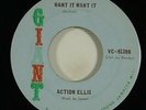 Action Ellis 