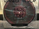 Temple Of the Dog - Hunger Strike - 7