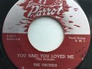 The Orchids- You Said You Loved Me- Parrot #819 Rare DooWop - Near Mint.