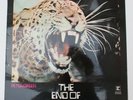 Peter Green - The End Of The Game - Vinyl LP