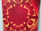 BOARDS of CANADA GEOGADDI  2x LP + 12