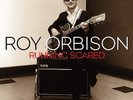 Roy Orbison RUNNING SCARED 180g BEST OF 28 SONGS Gatefold NEW SEALED VINYL 2 LP