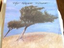 PAST PRESENT FUTURE US PROG VA COMP HAPPY THE MAN YEZDA URFA SYN-PHONIC SLD 2LP