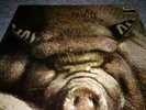 Kin Ping Meh No. 2 RARE PROG KRAUT, GERMAN ORIGINAL Zebra Vinyl LP - kult-
