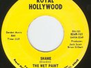 HEAR Wet Paint-Shame AWESOME '67 IL MINOR KEY GARAGE MONSTER b/w FAB NC6 REMAKE