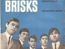 THE BRISKS - WOOLY BULLY / UN NUEVO AMOR 1965 SPAIN 7''
