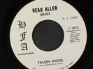 BEAU ALLEN: Georgia Ground / Fallen Angel 45 (dj) Rock & Pop
