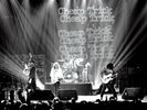 CHEAP TRICK ARE YOU READY LIVE 12/31/79 2LP VINYL 2019 RSD BLACK FRIDAY