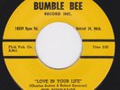 Detroit Doo Wop Soul Ballad / Jump Rocker - The TORNADOS - Love In Your Life