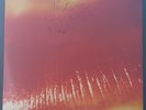 THE CURE - KISS ME KISS ME KISS ME 1987 FICTION/WEA 600143.1 AUS 2LP'S 1ST PRESS