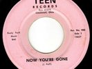 THE COUNTS - Super-MOODY OHIO GARAGE 45 - NOW YOU'RE GONE on TEEN Records - HEAR