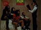 LP 33 TOURS - STEEL PULSE - TRUE DEMOCRACY - ELEKTRA - 1982 - TRES BON ETAT