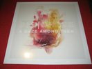 BIG | BRAVE A Gaze Among Them LP the angelic process a silver mount zion swans