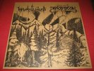 PANOPTICON / WALDGEFLÜSTER COL LP ulver borknagar agalloch skagos stilla alda