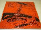 LAURI PAISLEY THE FIRE OF DREAMS LP NEW SEALED US VINYL RARE NEW AGE ELECTRONIC