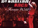 Sebastian Bach - 