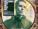 LIAM GALLAGHER Why Me? Why Not. Picture Disc | New Sealed Record Store Day RSD