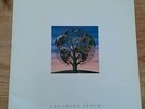 TALK TALK LAUGHING STOCK LP VERVE POL847717  281 VERY GOOD  CONDITION