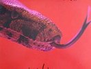 Alice Cooper – Killer (1973) – 1 LP Original  Kalender