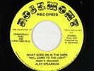 Deep Soul 45 - Alex Spearman - What Goes On In The Dark - Rosemont - mp3