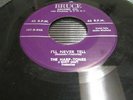 THE HARP-TONES BRUCE 45RPM RECORD 101SUNDAY KIND OF LOVE/I'LL NEVER TELL DOO WOP