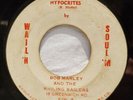 Bob Marley And The Wailing Wailers - Hypocrites /Nice Time 45 Wail N Soul 7