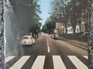The  BEATLES Reparked Edition Abbey Road LP SLEEVE VW SWEDEN