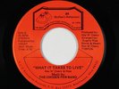 Modern Soul 45 - Chosen Few Band - What It Takes To Live - BR - VG++ mp3