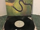 The Serpents Egg Lp Dead Can Dance CAD 808