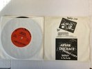 ARYAN DISGRACE FAGGOT IN THE FAMILY PROMO SLEEVE MYSTIC 7” RARE KBD PUNK