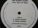 BIG DADDY KANE   Any Type Of Way   12