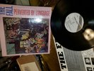 The Fall Perverted by language original rough trade Mark E Smith 1983 1st Press