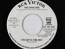 Northern Soul 45 - Cavaliers - I've Gotta Find Her - RCA Victor - VG+ mp3