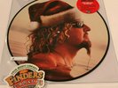 Sammy Hagar- Santa's Going South For Christmas RSD BF 19 Picture Disc Vinyl