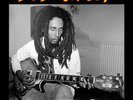 BOB MARLEY - LIVE AT THE QUIET NIGHT CLUB, CHICAGO JUNE 10TH 1975 - Vinyl lp