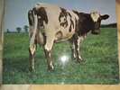 LP PINK FLOYD ATOM HEART MOTHER   1970