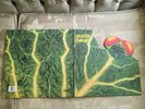Catapilla - Changes reissue prog