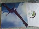FREE  ( Island )  -  FREE  ( Pink Rim )  LP