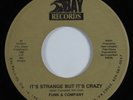Funk Boogie 45 FUNK & COMPANY It's Strange But It's Crazy BAY unknown HEAR