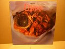 ORIGINAL LP CADAVER - HALLUCINATING ANXIETY Necrosis Records 1990