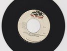 THE TURNTABLE/ YOU'LL NEVER NEED SOMEBODY - MERLYN BROOKS (74 ISLAND  SOUL 7